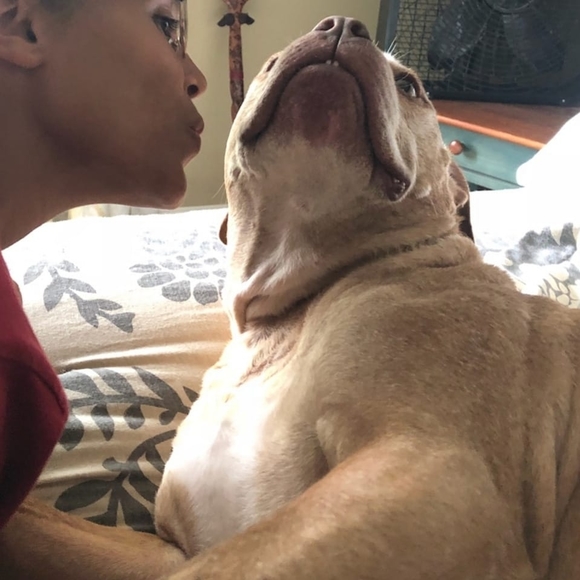 Meet your Posher, Brooklyn - Picture 1 of 1